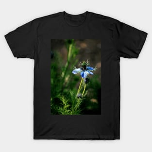 Blue Nigella T-Shirt